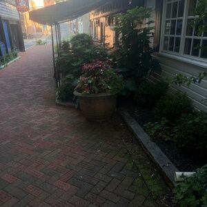 Meet your Posher, Kaylin